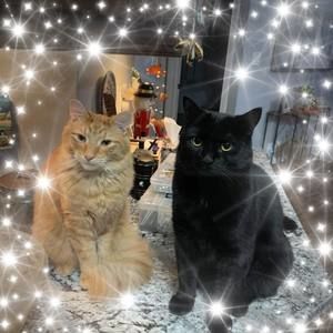 Meet your Posher, Jenifer